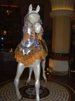 2.webp