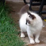 DSCN1320.webp