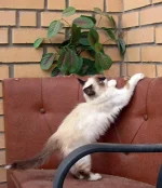 DSCN1371.webp