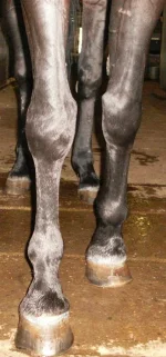 photo03.webp
