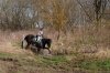 _MG_5842.jpg