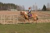 _MG_5728.jpg