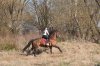 _MG_6037.jpg