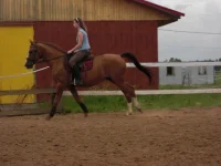 CIMG0840.webp