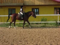 CIMG0891.webp