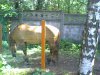 07-08-07_120436.jpg