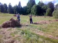 30062009953.webp