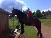 040720091010.webp