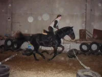 x_486a1db4.webp