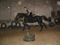 x_369351c2.webp