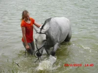 CIMG0083.webp