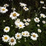 !.webp