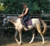 DSC02552.jpg