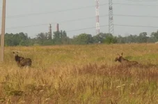 DSCN8415.webp
