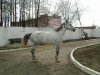 DSC01141.JPG