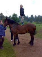 120820091290.webp