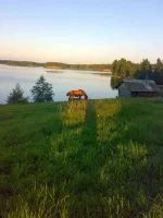 100820091257.webp