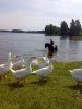 120820091283.jpg