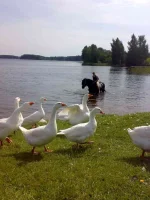 120820091283.webp