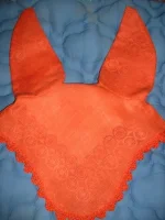 DSCN6961.webp