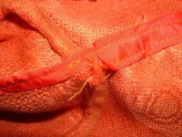 DSCN6970.webp