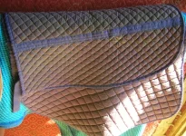 DSCN6982.webp