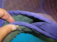 DSCN6984.webp