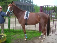 DSCN6956.webp