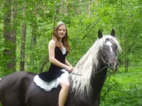 e586913f.webp