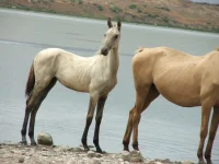 DSCF3893.webp