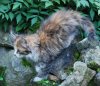 DSC_7288.jpg