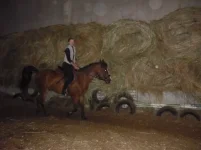 x_6d55a1d7.webp