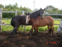 x_a1ea8a77.webp