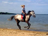 x_939b1e46.webp