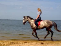 x_422605c2.webp