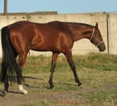 DSCF3645.webp