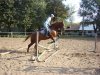 DSC03844копия.jpg
