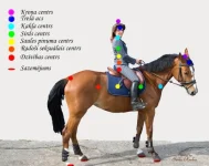 Copy%20of%20cakras.webp