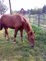 200920091538.webp