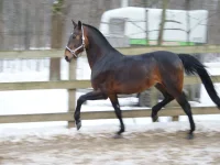 20090319_0336.webp