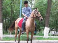 DSCF4280.webp