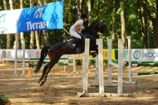 фурор 1.webp
