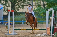 _MG_3895.webp