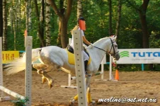 _MG_3924.webp