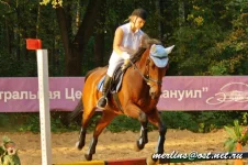 _MG_3929.webp