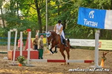 _MG_3931.webp