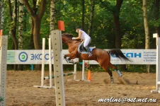 _MG_3935.webp
