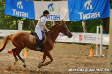 _MG_3942.webp
