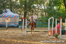 _MG_3947.webp