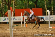 _MG_3955.webp